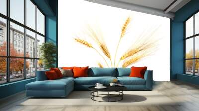 Wheat ears isolated on white background Wall mural