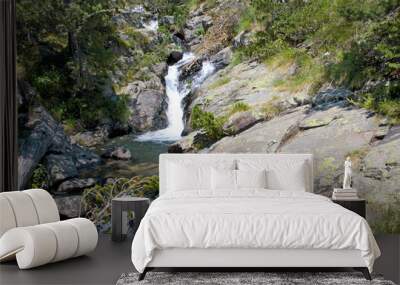 Mountain stream Wall mural