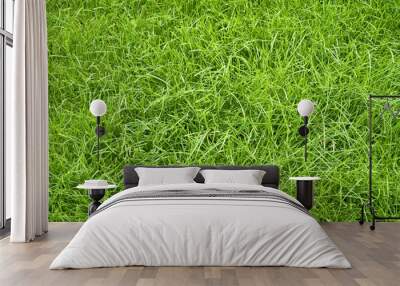 green summer grass Wall mural