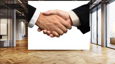 two businessmen shaking hands Wall mural