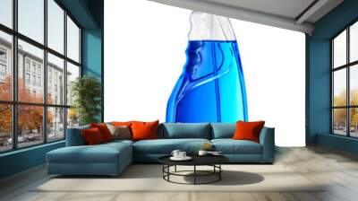 Blue window cleaner in plastic bottle with sprayer isolated. Transparent PNG image. Wall mural