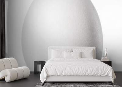 One chicken egg isolated on white background. Wall mural