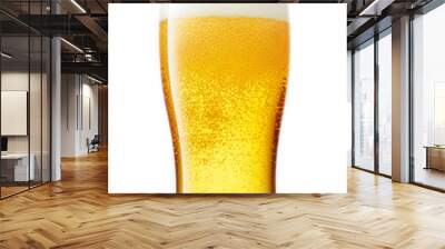 Tulip pint glass of fresh yellow beer with cap of foam isolated on white background. Wall mural