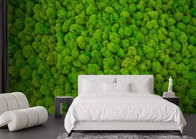 decorative moss for interior decoration. Wall mural