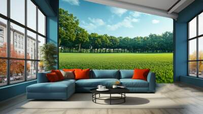 Background green clean field and blue sky Wall mural