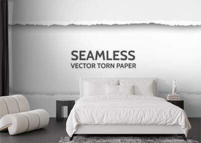 Vector seamless torn paper set on gray background. Wall mural