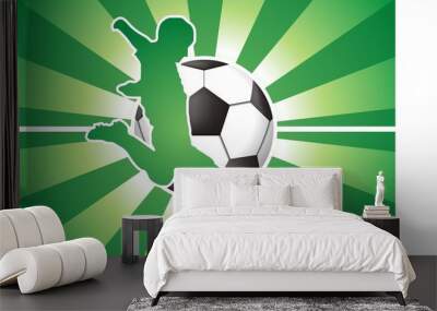 football player Wall mural