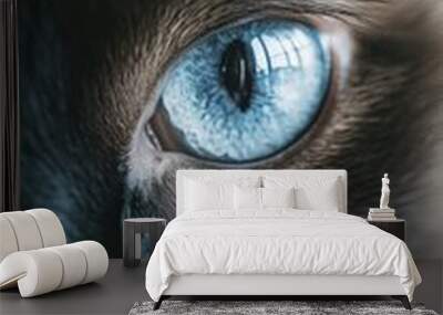 ** Close-Up of a Blue-Eyed Cat: Feline Beauty and Detail in Stock Photography Wall mural