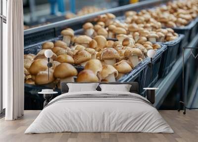 Fresh Mushrooms on Production Line at Food Processing Plant Wall mural