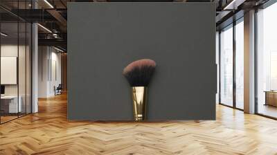 Makeup brush with red bristles on a black background. Wall mural