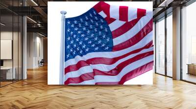 Flag Of The United States Of America Wall mural