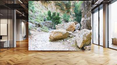 trail through a mountain gorge Wall mural