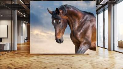 Bay horse portrait Wall mural