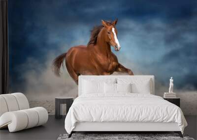 Beautiful red horse running on desert storm Wall mural