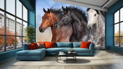 Horses run fast in desert dust Wall mural