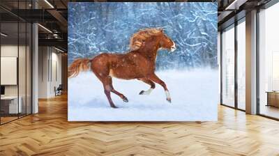 Red horse with long mane run fast in winter snow day Wall mural