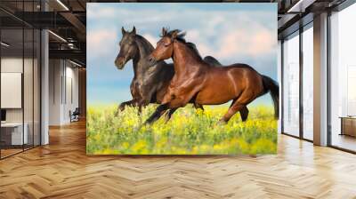 Two bay horse run gallop on flowers field with blue sky behind Wall mural