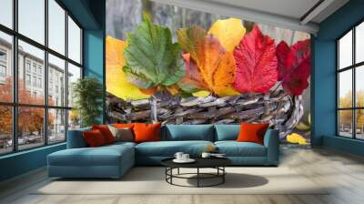 A composition of colorful autumn leaves arranged in a rustic basket, celebrating the beauty of the fall season Wall mural