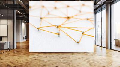 abstract web line connection  from node to node on white background , networking concept Wall mural