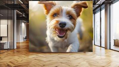 Close-up of a dog wagging its tail excitedly, capturing the joyful and expressive behavior of domestic pets Wall mural