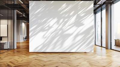 Abstract natural tree leaves shadow on white wall background Wall mural