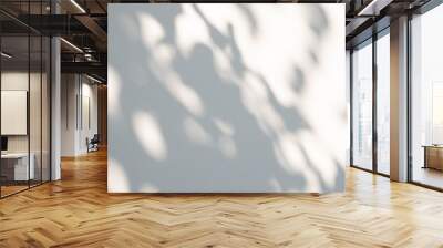 Abstract natural tree leaves shadow on white wall background Wall mural