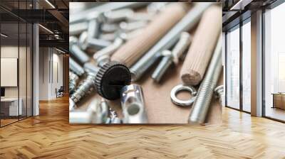 Assembly furniture tool kit with screw dowel and bolt Wall mural