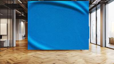 Blue fabric sport clothing football jersey with air mesh texture background Wall mural