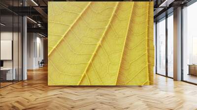 Natural plant brown leaf texture surface background Wall mural