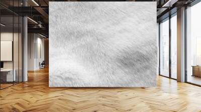 White fur fabric texture background Wall mural