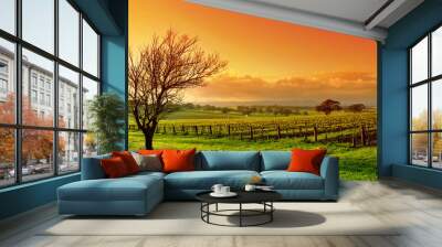 vineyard landscape Wall mural