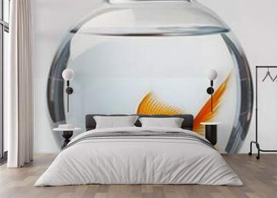 a goldfish in a bowl on a white background Wall mural