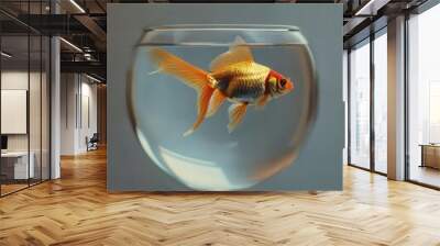 a goldfish swimming in a bowl of water Wall mural