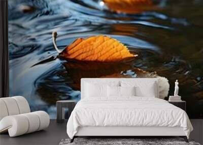 a leaf floating on top of a body of water Wall mural