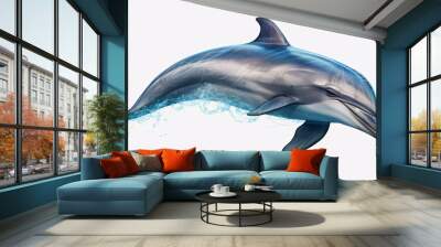 dolphin jumping isolated on white background Wall mural