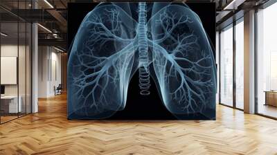 x ray image of human lung Wall mural