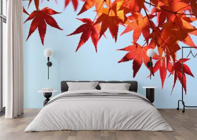 red maple leaf Wall mural