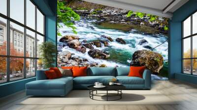 Snoqualmie Falls Stream Wall mural