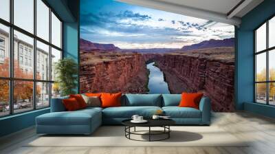 Colorado River at the Navajo Bridge Wall mural