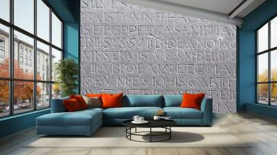 Epigraph Wall mural