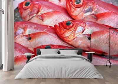 魚売り場の金目鯛 キンメダイ  Red bream in Seafood market splendid alfonsino Wall mural