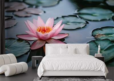 A stunning pink lotus flower floating on calm water, surrounded by green lily pads. Wall mural