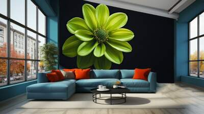 A vibrant green flower with delicate petals, set against a dark, minimalist background, highlighting the contrast between light and shadow Wall mural