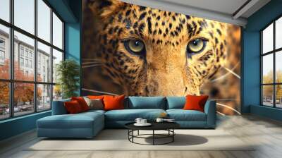 Leopard portrait Wall mural