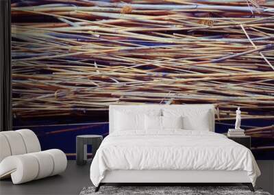 cane pile  Wall mural