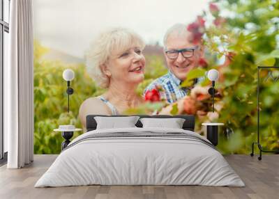 Senior man and woman cutting the garden roses in front of their house Wall mural