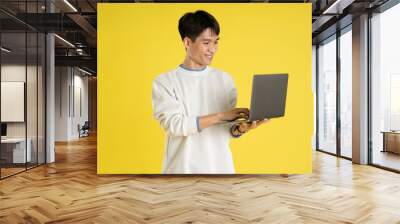 portrait of young Asian man wearing sweater and using laptop on yellow background Wall mural