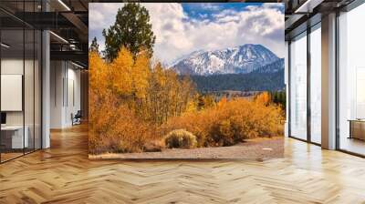 hiking at Mammoth California in the fall Wall mural