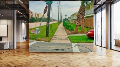 Hurricane Marie damage in central Florida Wall mural