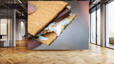 A gooey s'more made by a campfire Wall mural